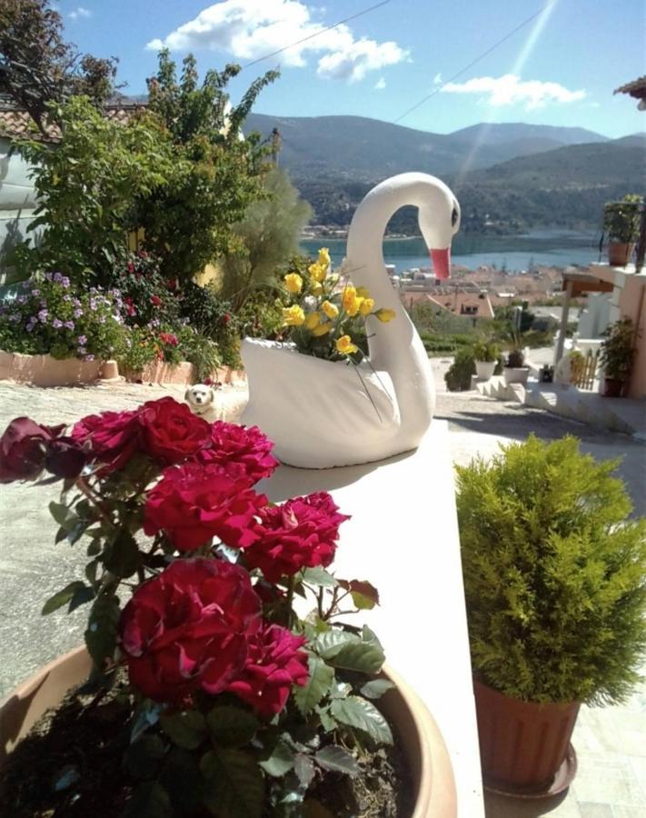 Elenh House Apartment Argostolion Exterior foto